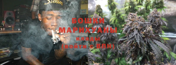 ГАЛЛЮЦИНОГЕННЫЕ ГРИБЫ Магас