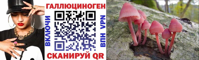 маркетплейс какой сайт  Жуковский  Псилоцибиновые грибы Psilocybine cubensis  OMG как войти 